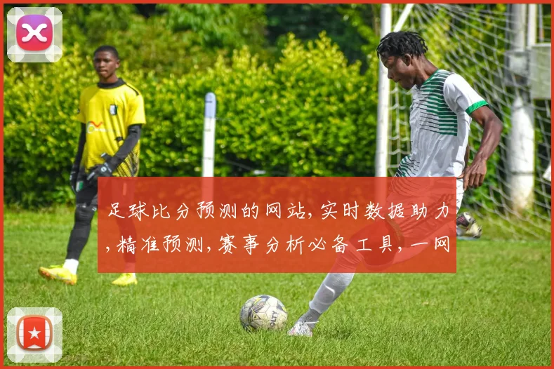 足球比分预测的网站,实时数据助力,精准预测,赛事分析必备工具,一网打尽