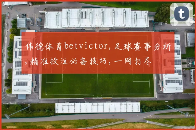 伟德体育betvictor,足球赛事分析,精准投注必备技巧,一网打尽
